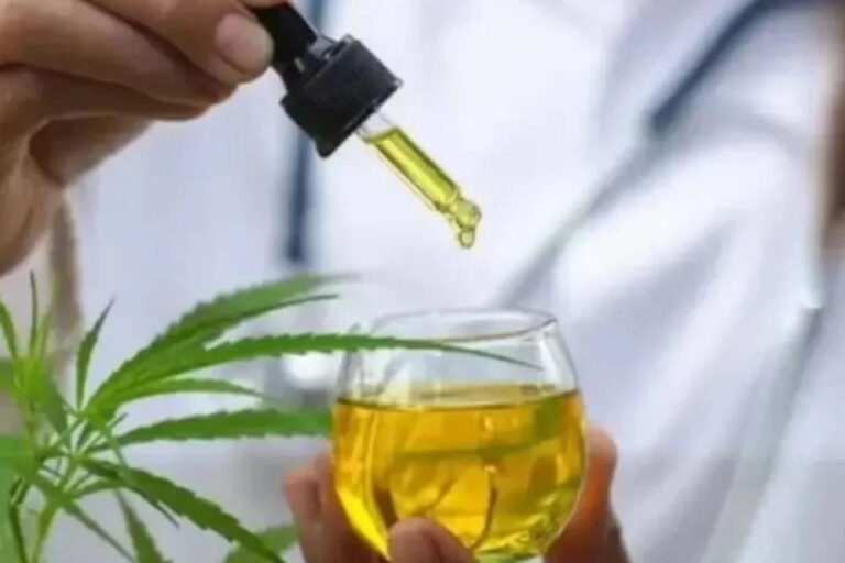 MEDICINA BEM COMPREENDIDA  (Interessantíssimo)