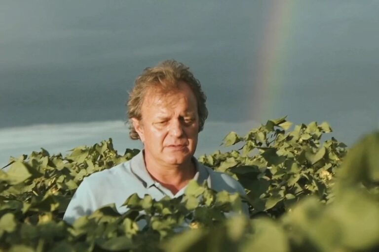 Empresário pagou R$ 26 milhões por sentença de desembargador do TJ Piauí