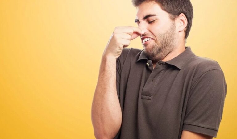 Odor de pum pode ajudar a proteger o cérebro contra Alzheimer, diz ciência