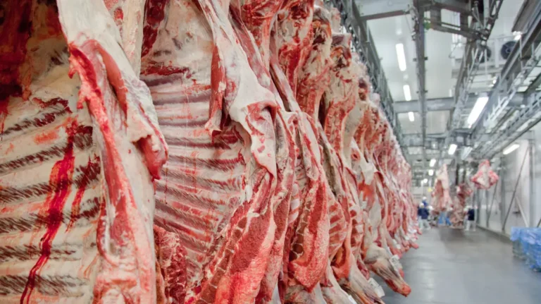 Liderança global: Brasil supera EUA e se torna o maior produtor de carne bovina do mundo