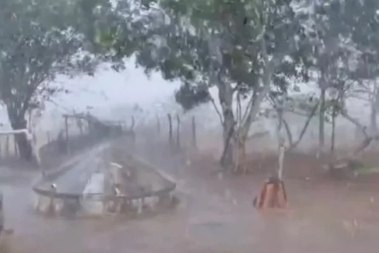 Vídeo: primeira chuva do ano é registrada na zona rural de Monteiro