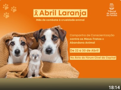 Conscientização contra maus-tratos a animais será destaque no Fórum Cível de João Pessoa