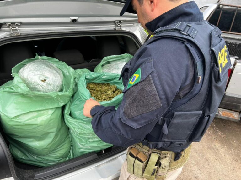 NESSE SÃO JOÃO A COBRA NÃO VAI FUMAR!! PRF apreende 25 kg de “supermaconha” após perseguição na BR-230, na Paraíba
